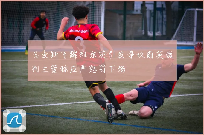 戈麦斯飞踹维尔茨引发争议前英裁判主管称应严惩罚下场