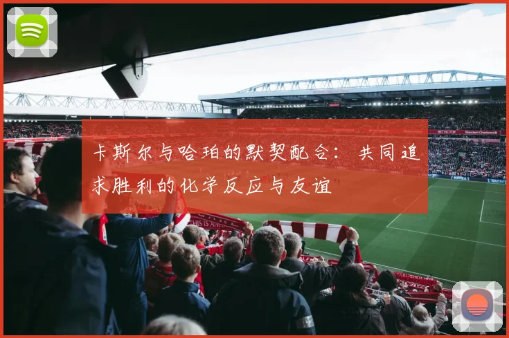 卡斯尔与哈珀的默契配合：共同追求胜利的化学反应与友谊
