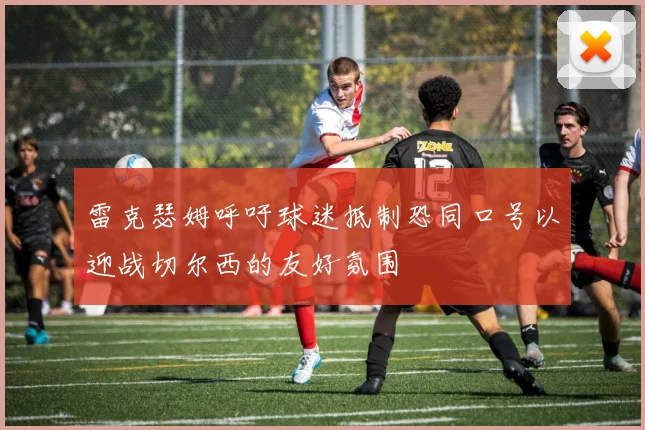 雷克瑟姆呼吁球迷抵制恐同口号以迎战切尔西的友好氛围