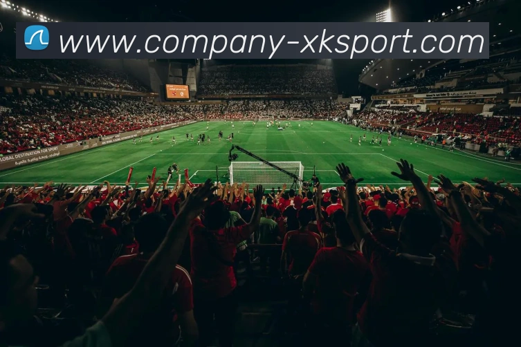 多媒体互动体验